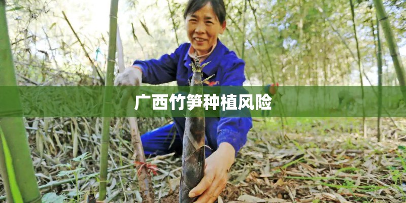 广西竹笋种植风险 广西竹笋种植风险