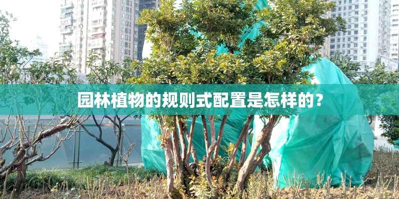 园林植物的规则式配置是怎样的？
