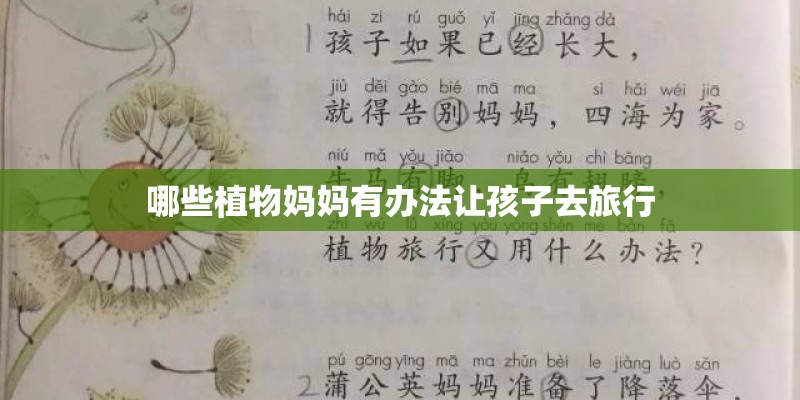 哪些植物妈妈有办法让孩子去旅行
