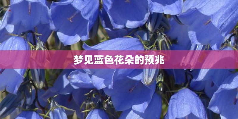 梦见蓝色花朵的预兆 梦见蓝色花朵的预兆