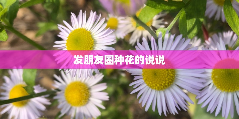 发朋友圈种花的说说 发朋友圈种花的说说