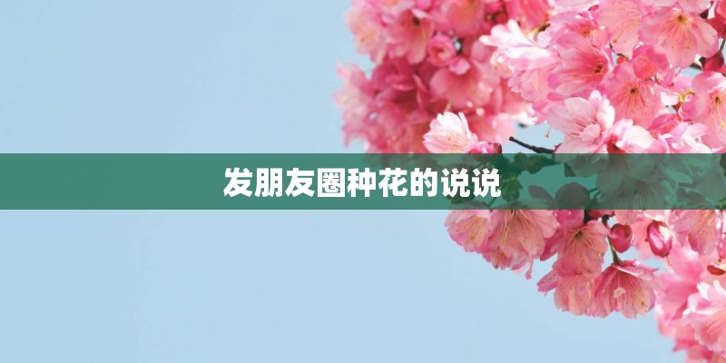 发朋友圈种花的说说 发朋友圈种花的说说