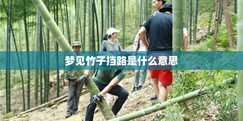 梦见竹子挡路是什么意思