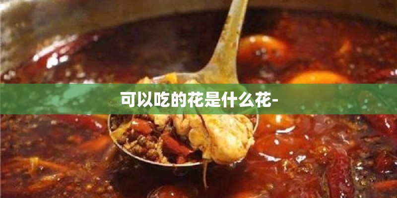 可以吃的花是什么花- 可以吃的花是什么花-