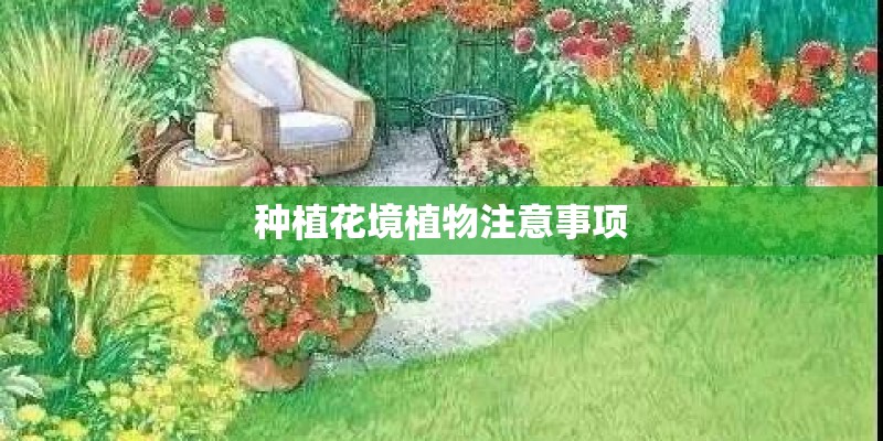 种植花境植物注意事项