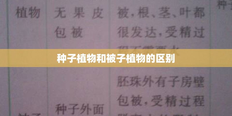种子植物和被子植物的区别