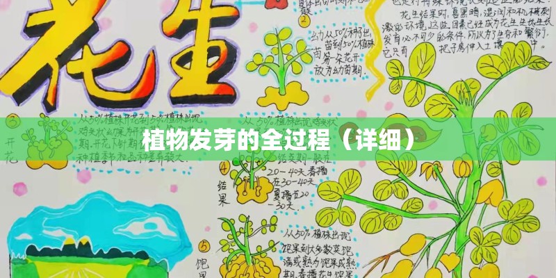 植物发芽的全过程（详细）
