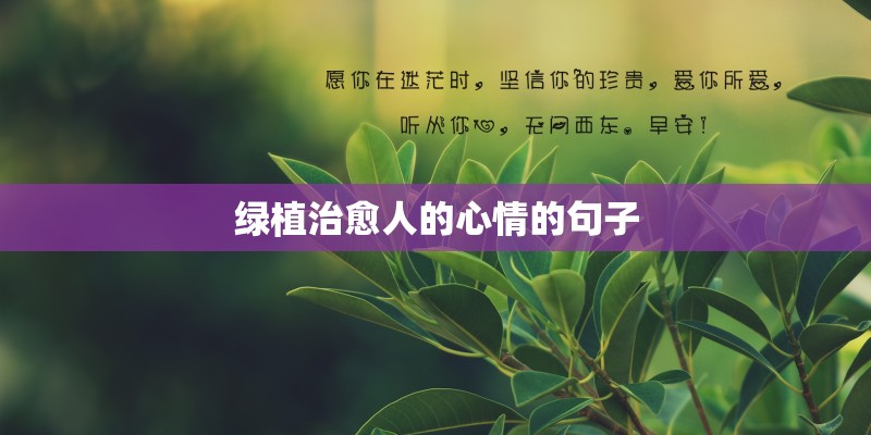 绿植治愈人的心情的句子 绿植治愈人的心情的句子