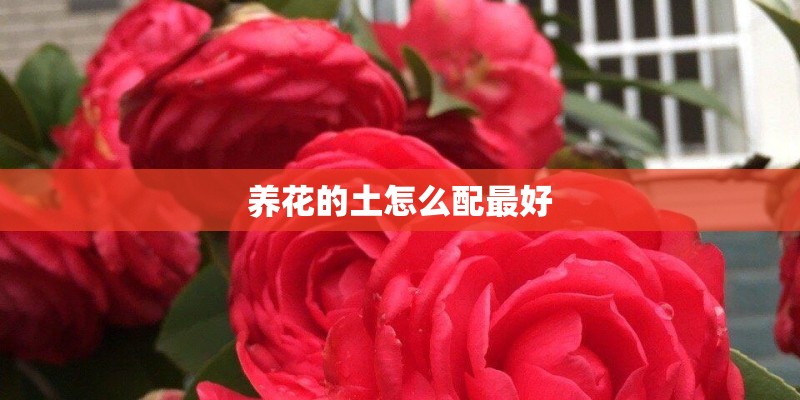 养花的土怎么配最好