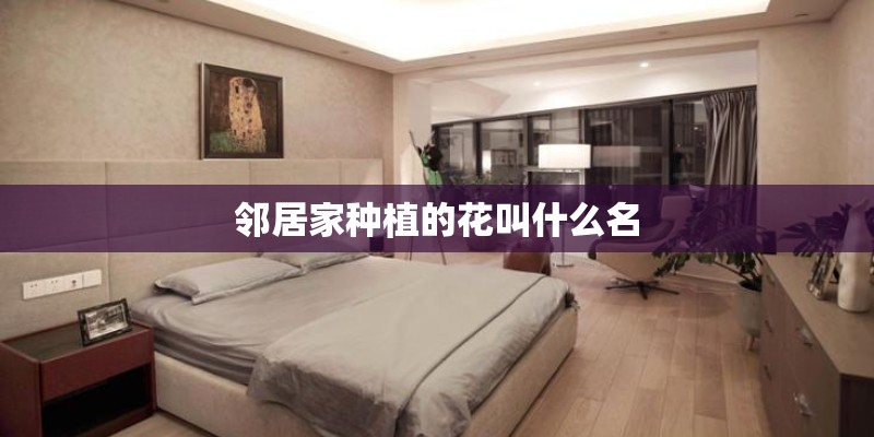 邻居家种植的花叫什么名 邻居家种植的花叫什么名
