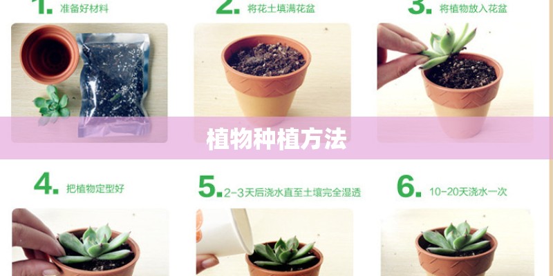 植物种植方法
