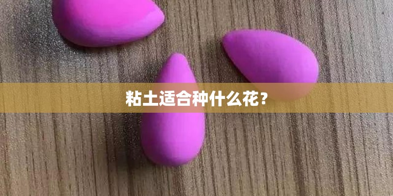 粘土适合种什么花? 粘土适合种什么花?