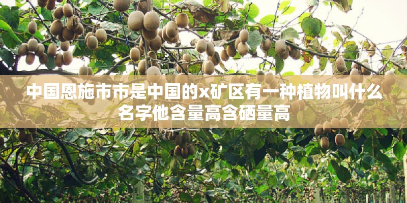 中国恩施市市是中国的x矿区有一种植物叫什么名字他含量高含硒量高