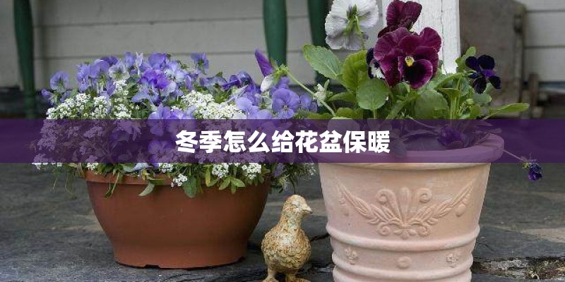 冬季怎么给花盆保暖 冬季怎么给花盆保暖