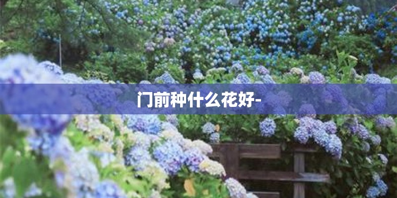 门前种什么花好- 门前种什么花好-
