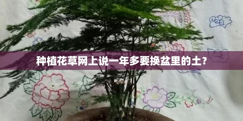 种植花草网上说一年多要换盆里的土？