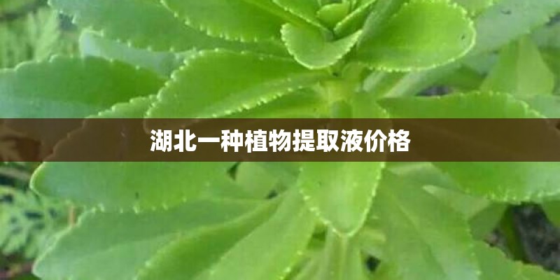 湖北一种植物提取液价格 湖北一种植物提取液价格