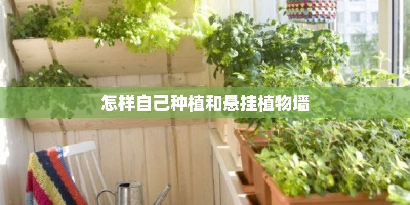 怎样自己种植和悬挂植物墙