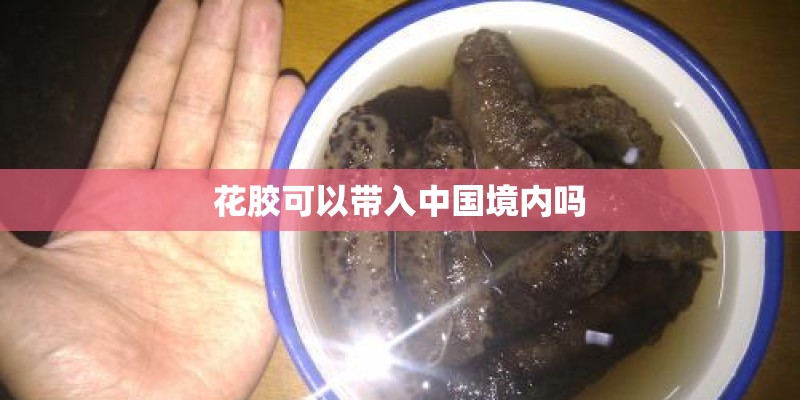 花胶可以带入中国境内吗