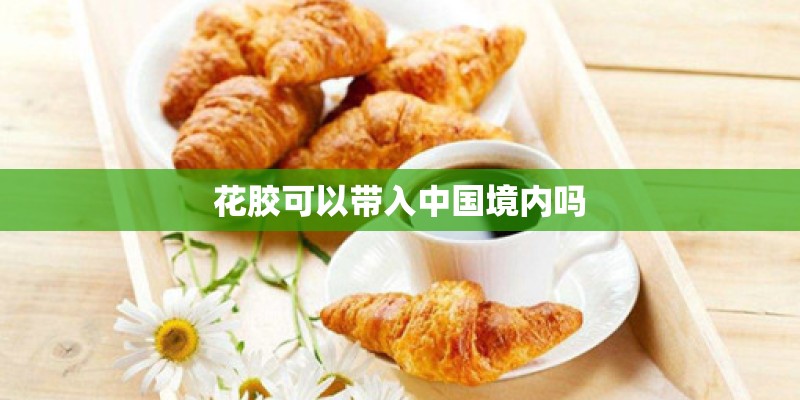 花胶可以带入中国境内吗