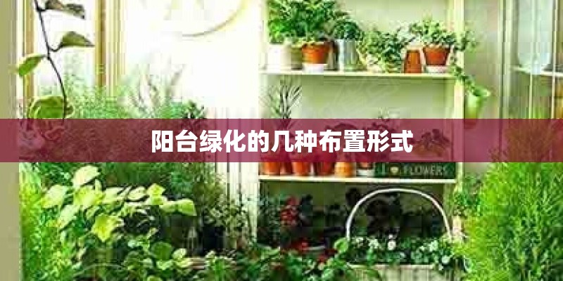 阳台绿化的几种布置形式