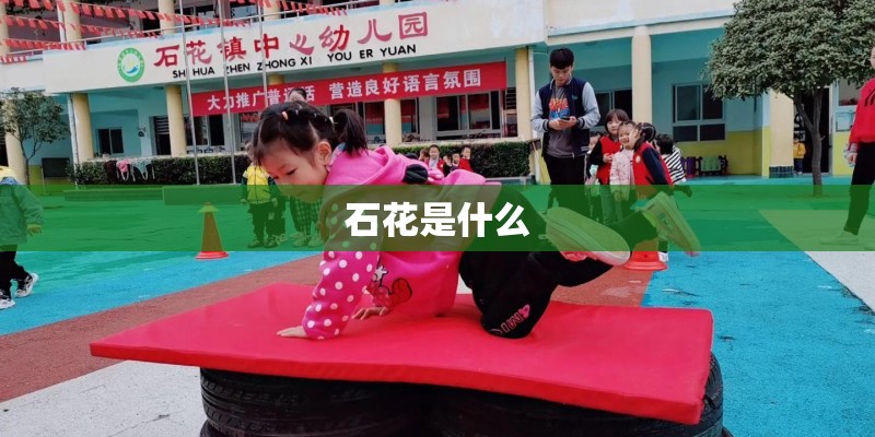 石花是什么