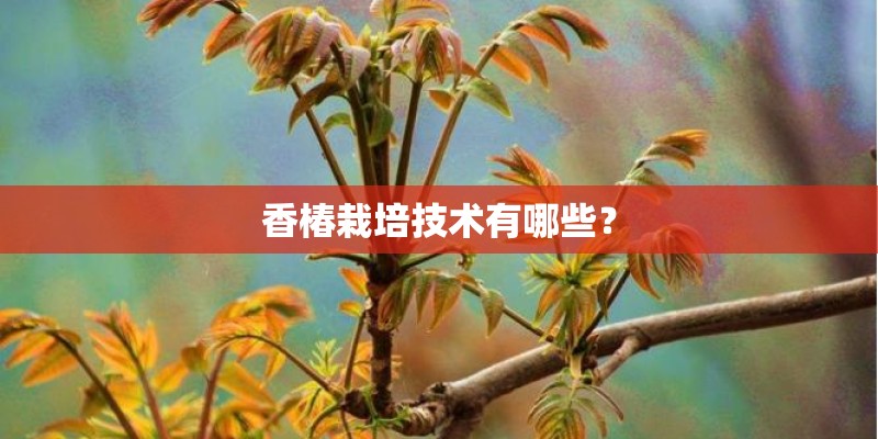 香椿栽培技术有哪些？