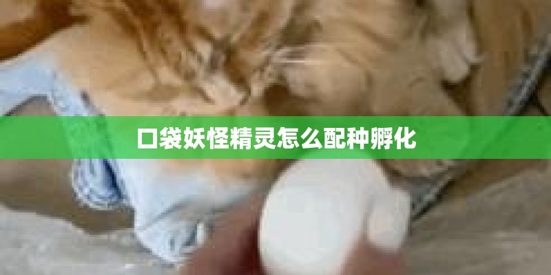 口袋妖怪精灵怎么配种孵化