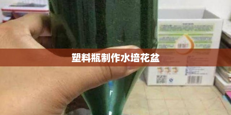 塑料瓶制作水培花盆