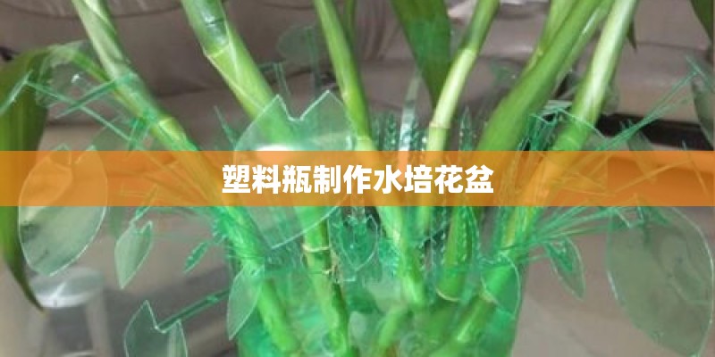 塑料瓶制作水培花盆