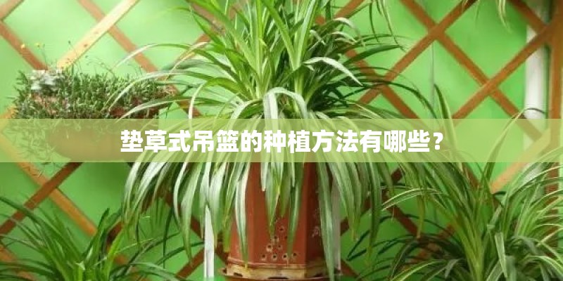 垫草式吊篮的种植方法有哪些？