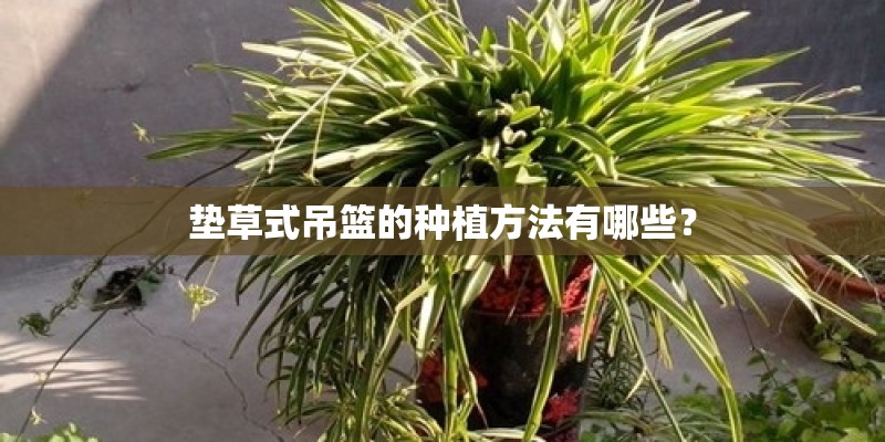 垫草式吊篮的种植方法有哪些？