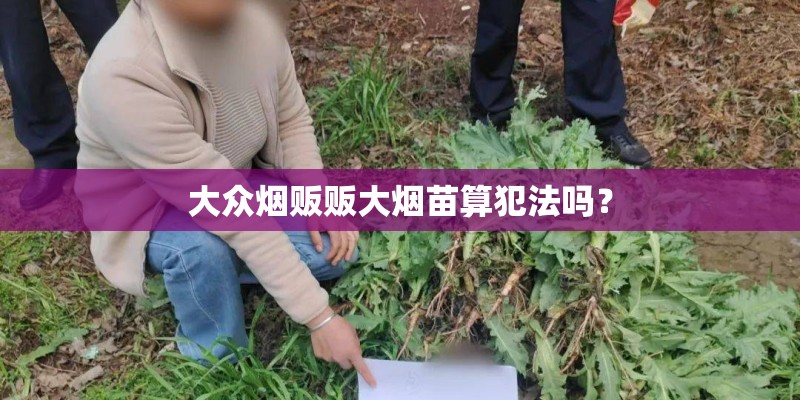 大众烟贩贩大烟苗算犯法吗？