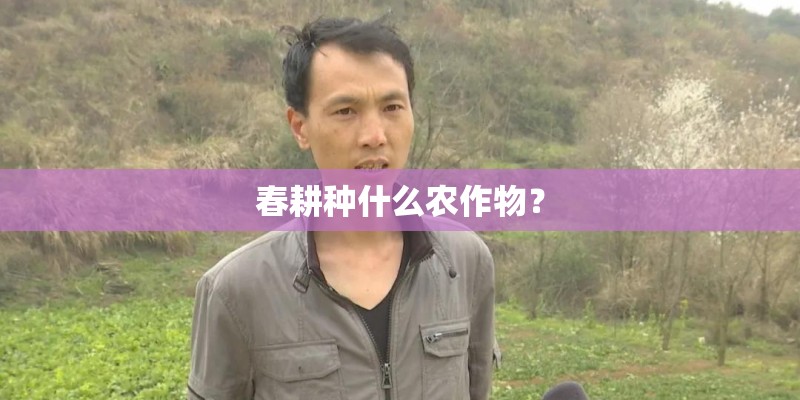 春耕种什么农作物？