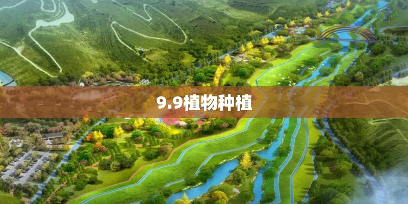 9.9植物种植 9.9植物种植
