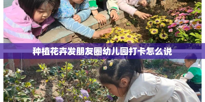 种植花卉发朋友圈幼儿园打卡怎么说