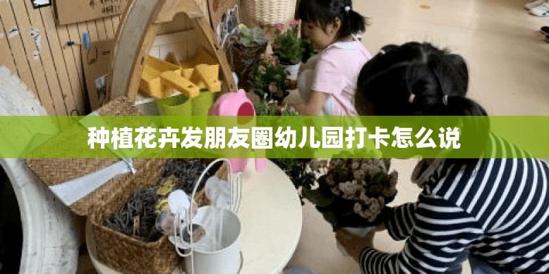 种植花卉发朋友圈幼儿园打卡怎么说