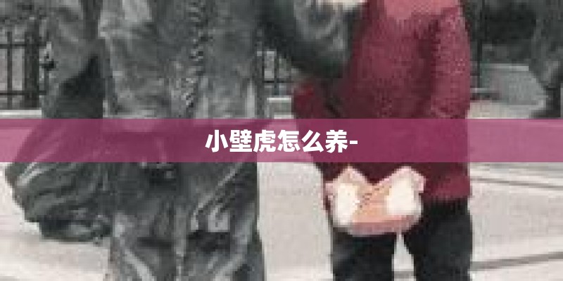 小壁虎怎么养-