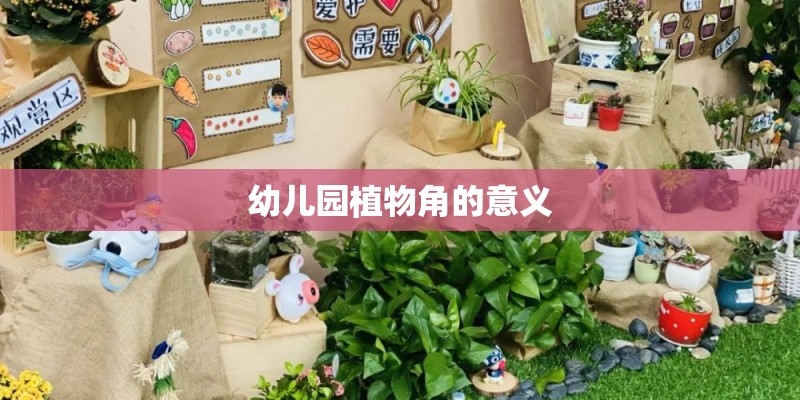 幼儿园植物角的意义