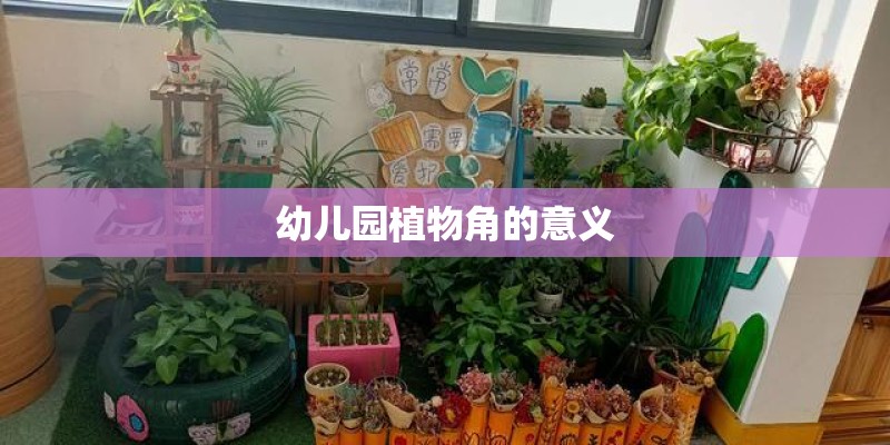 幼儿园植物角的意义