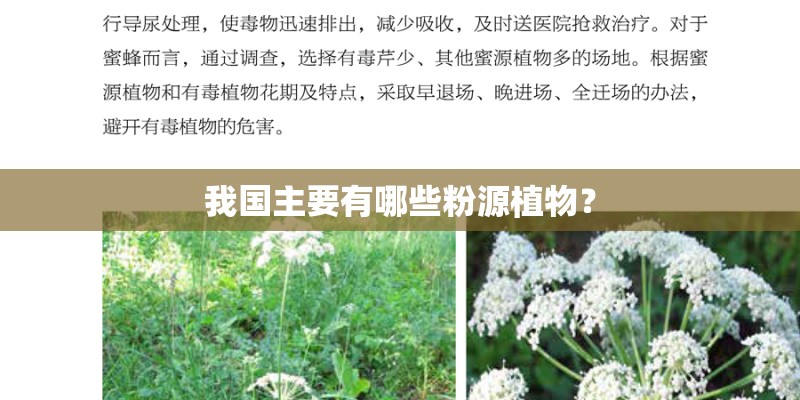 我国主要有哪些粉源植物？