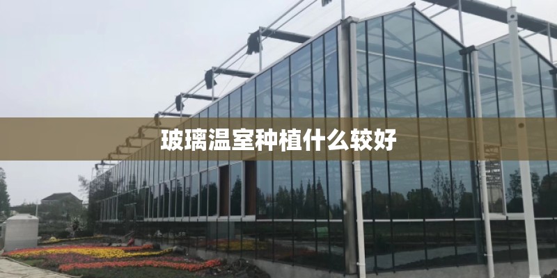 玻璃温室种植什么较好