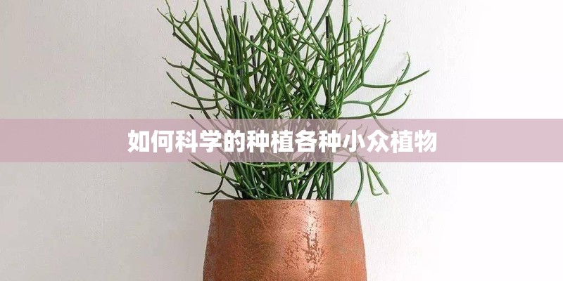 如何科学的种植各种小众植物