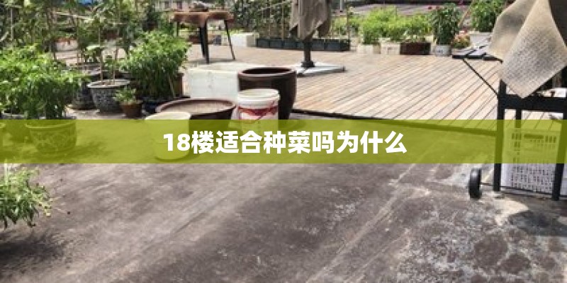 18楼适合种菜吗为什么