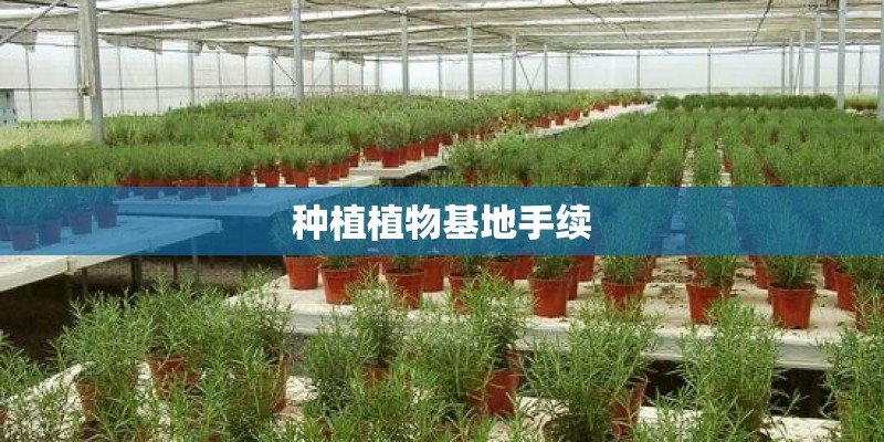 种植植物基地手续