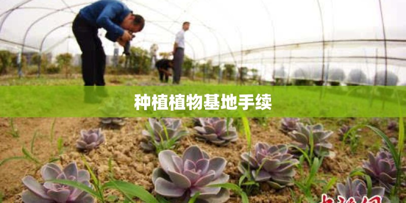种植植物基地手续