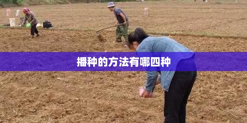 播种的方法有哪四种