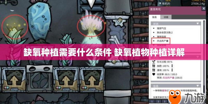 缺氧种植需要什么条件 缺氧植物种植详解