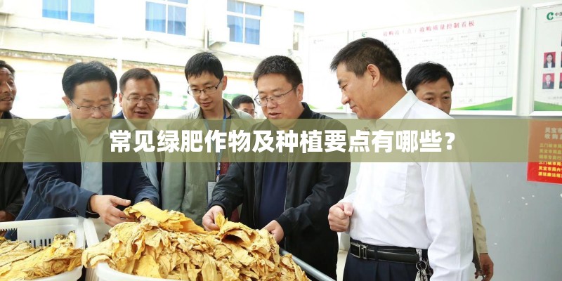 常见绿肥作物及种植要点有哪些？
