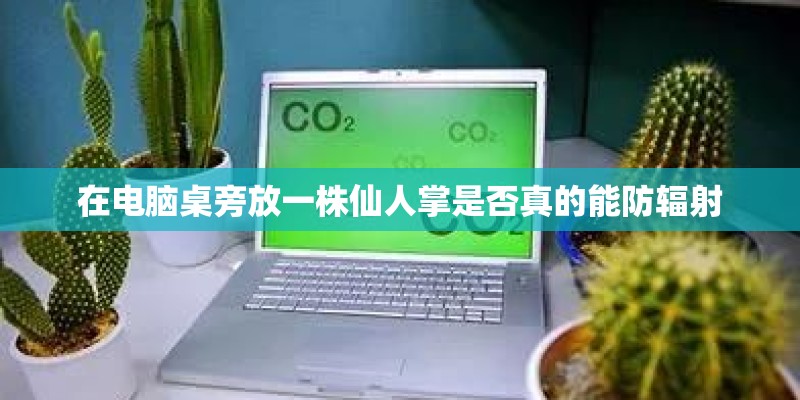 在电脑桌旁放一株仙人掌是否真的能防辐射